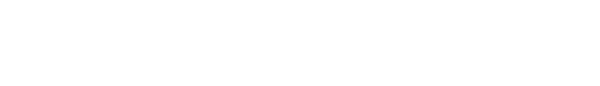 Binary Noggin Logo