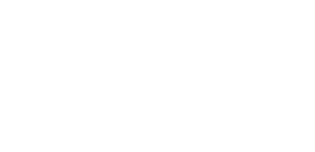 Pepsi Co Logo